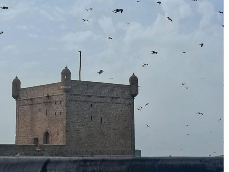 Essaouira Day Trip With Camel or Horse Ride - Argan Oil Factory