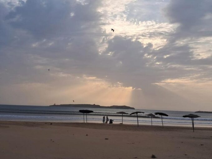 Essaouira Day Trip With Camel or Horse Ride - Optional Activities