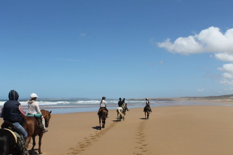 Essaouira: Full-Day Horse Riding Tour With Lunch - Key Points