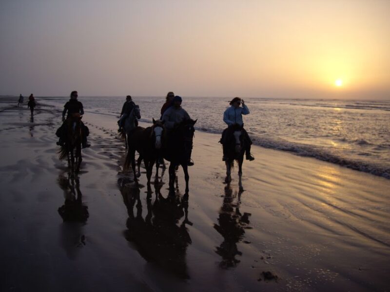 Essaouira: Full-Day Horse Riding Tour With Lunch - Inclusions and Meeting Point