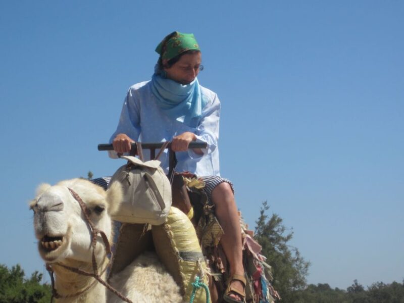 Essaouira: Guided 2-Hour Dromedary Riding With Sunset - Key Points