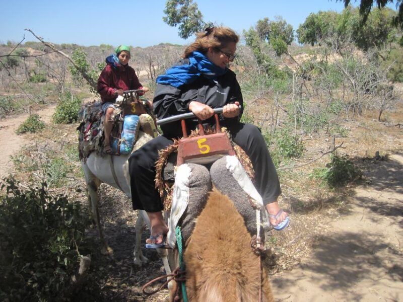 Essaouira: Guided 2-Hour Dromedary Riding With Sunset - Experience Highlights