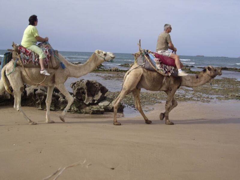 Essaouira: Guided 2-Hour Dromedary Riding With Sunset - Meeting Point