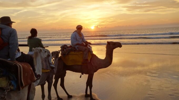 Essaouira: Guided 2-Hour Dromedary Riding With Sunset - Frequently Asked Questions