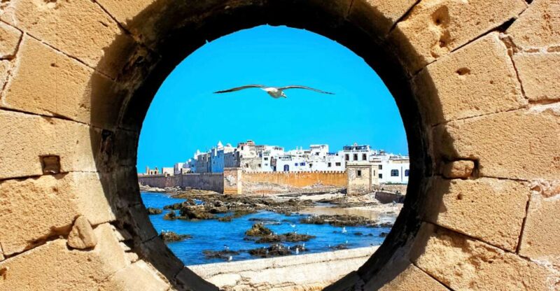 Essaouira: Guided Day Trip With Argan Oil Cooperative - Key Points