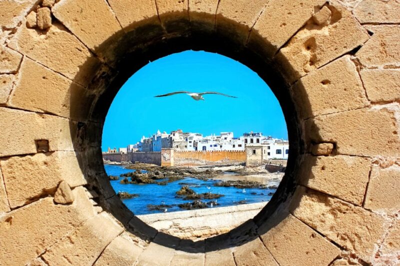Essaouira: Guided Day Trip With Argan Oil Cooperative - Customer Feedback