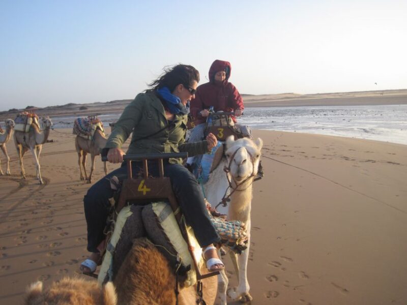 Essaouira: Guided Dromedary Riding Tour - Safety Considerations