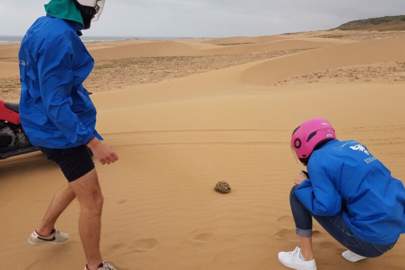 Essaouira: Guided Quad Biking Adventure With Transfer - Booking Details