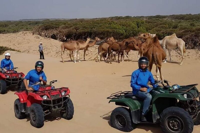 Essaouira: Guided Quad Biking Adventure With Transfer - Customer Ratings