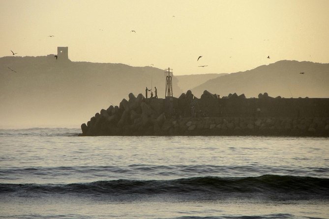 Essaouira Guided Tour: 3 on 1 - Nightlife Tour, Live Like a Local & Street Food - Nightlife Immersion