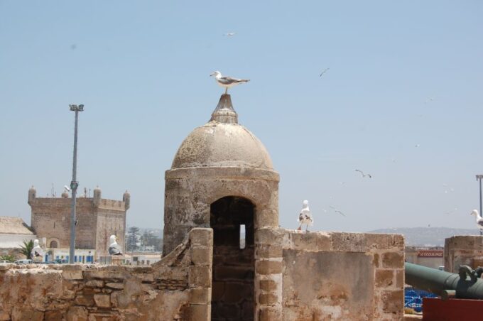 Essaouira: History and Culture Day Trip - Panoramic Views and Sunset