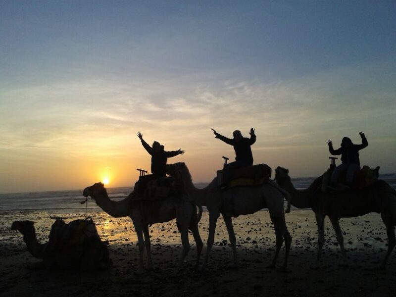 Essaouira: One Hour Dromedary Ride - Key Points