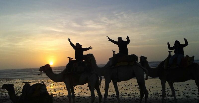 Essaouira: One Hour Dromedary Ride - Experience Highlights