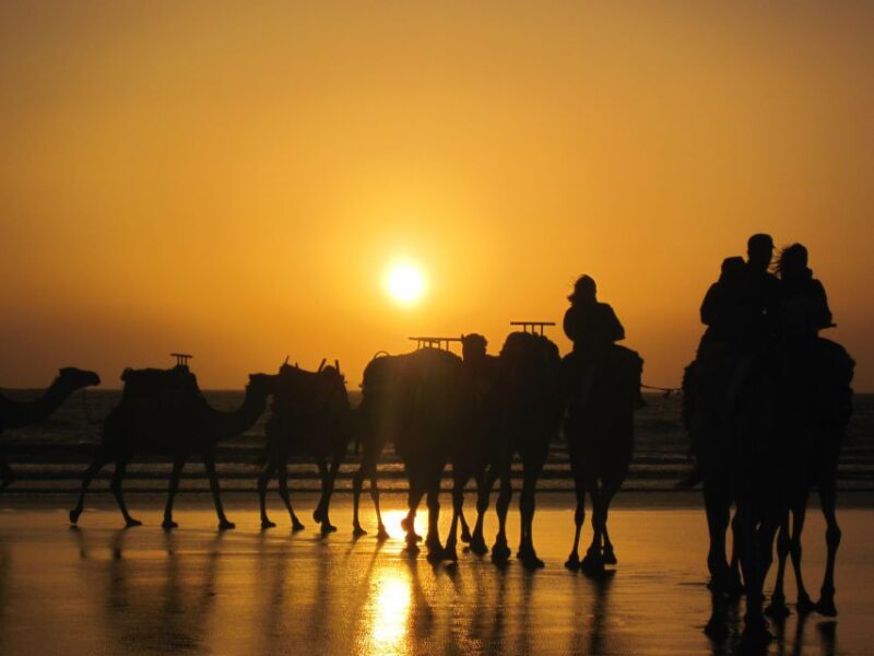 Essaouira: One Hour Dromedary Ride - Ride Details