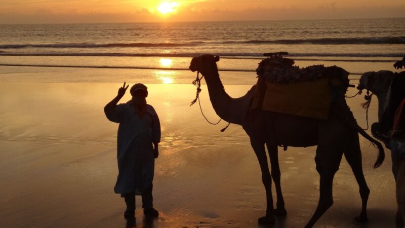Essaouira: One Hour Dromedary Ride - Meeting Point