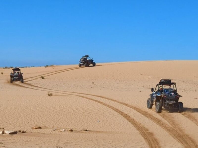 Essaouira: Private Atlantic Dune Buggy Adventure - Scenic Views and Attractions