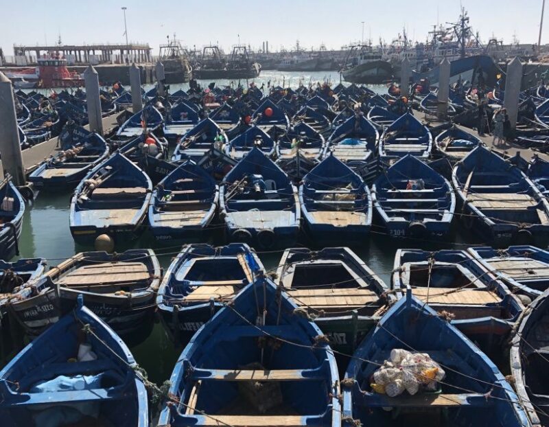 Essaouira: Private City Tour - Key Points