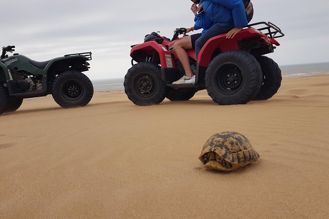 Essaouira: Quad Excursions / Half Day (Free Transfer) - Protective Gear Provided