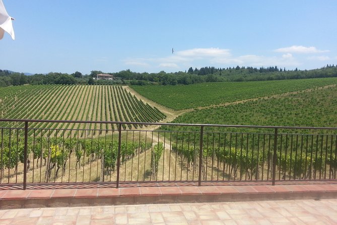 Essence of Chianti Small Group Tour With Lunch and Tastings From Florence - Additional Details