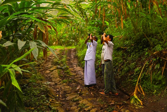 Essence of Munnar in a Day - Inclusions and Logistics