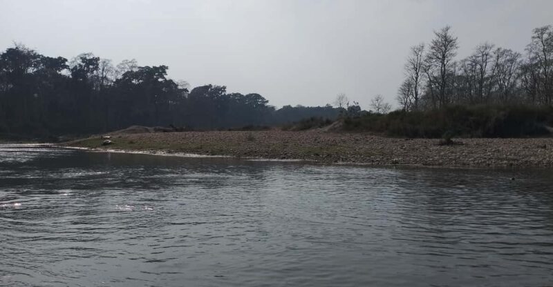 Essence of Nepal: A 10-Day Cultural Odyssey - Chitwan National Park Encounter
