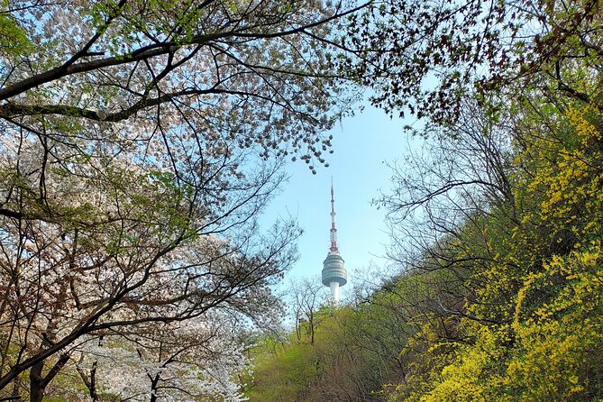 Essence of Seoul, Full Day City Tour - Positive Guest Feedback and Reviews