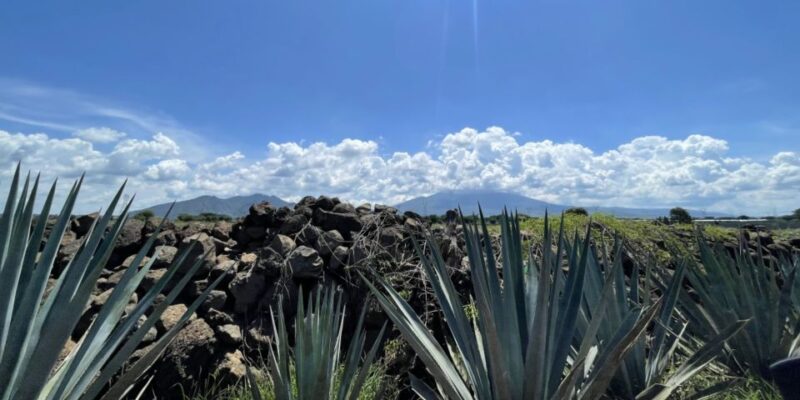 Essence of Tequila - Itinerary and Transportation
