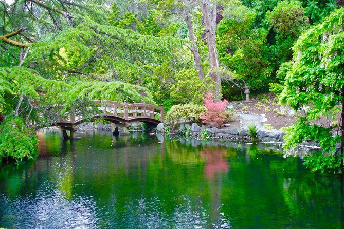 Essence of Victoria: Private Tour of Nature, History & Coast - Final Thoughts: Who Will Love This Tour?