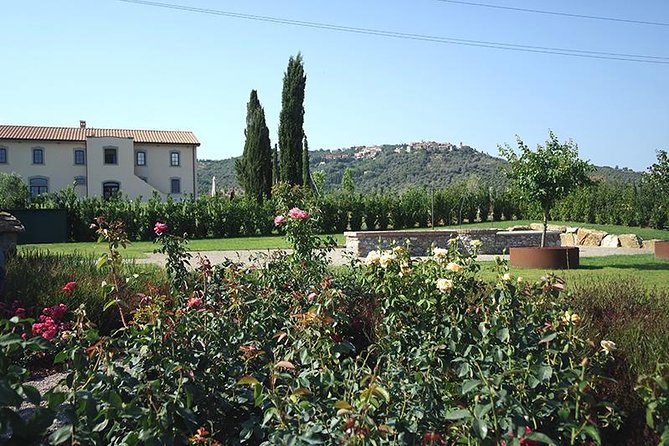 Essential Fertuna - Grape Types and Terroir