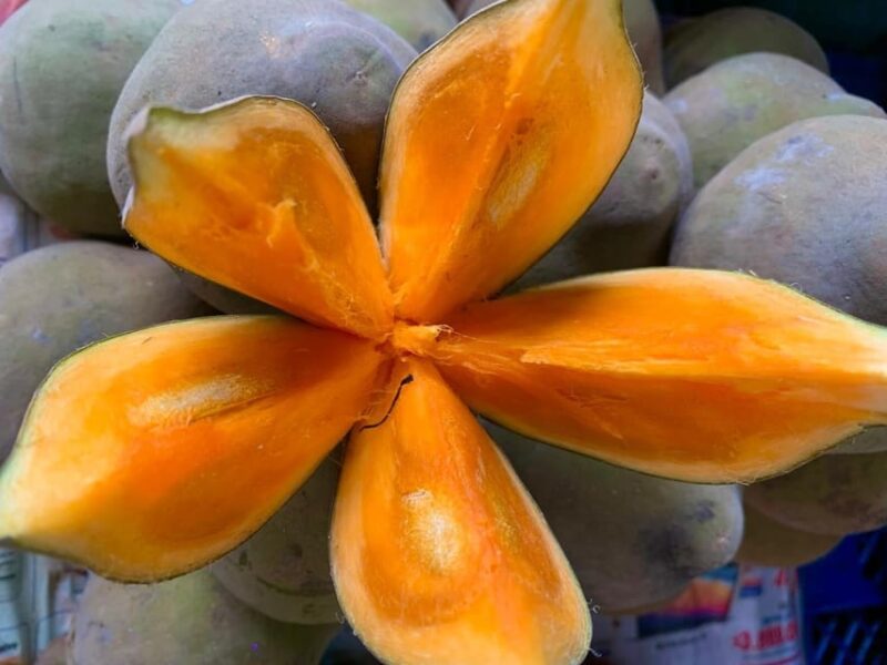 Essential Fruit Experience - Itinerary Details