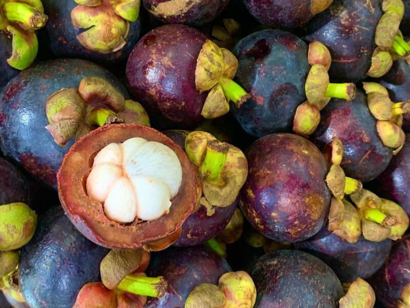 Essential Fruit Experience - Accessibility and Transportation