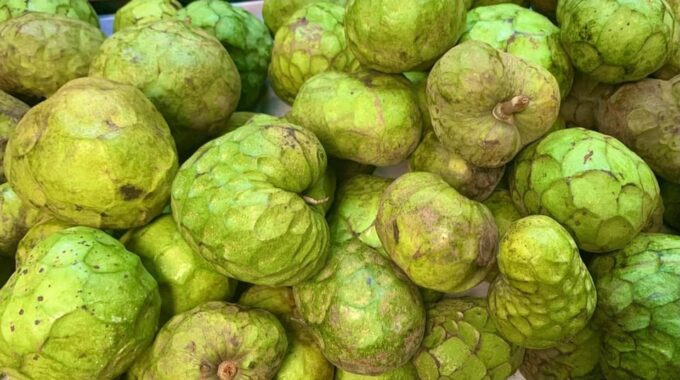 Essential Fruit Experience - Cultural Significance