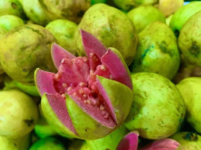 Essential Fruit Experience - Recap