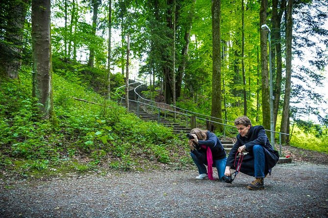 Essential Lucerne Photography Tour - Tour Experience