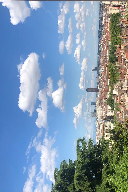 Essential Lyon: 4-Hour Highlights Tour - Vieux Lyon Exploration