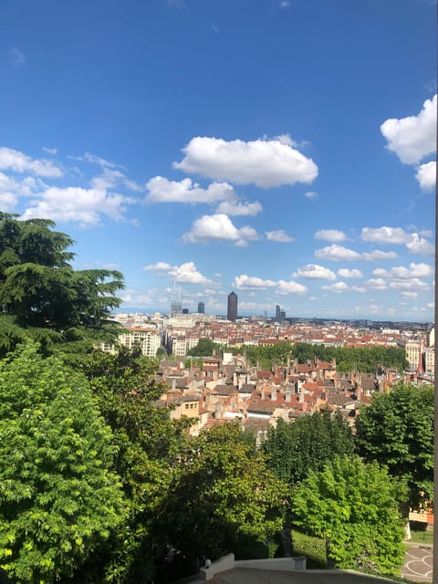 Essential Lyon: 4-Hour Highlights Tour - Fourvière Hill Visit