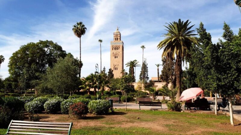 Essential Marrakech: A Guided Medina History & Culture Tour - Cultural Insights