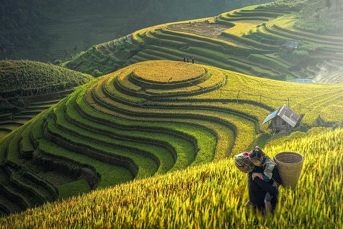 Essential SAPA HIKING TOUR - Included Meals