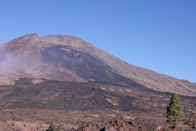 Essential Tenerife and Teide Shore Excursion VIP TOUR - Health and Safety Measures
