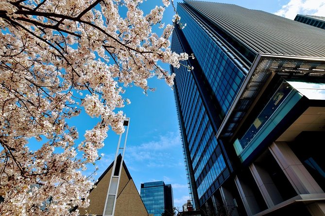 Essential Tour for Fashion and Art in Tokyo for 6 Hours With Local Lunch - Explore Street Styles