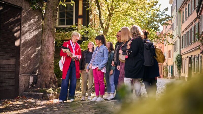 Esslingen Am Neckar: Old Town Walking Tour - Key Points