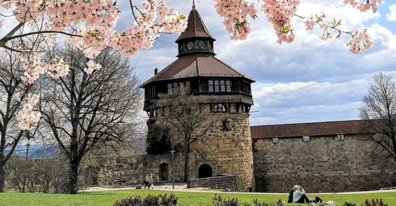 Esslingen: Self-Guided Tour to the Castle - Experience Highlights