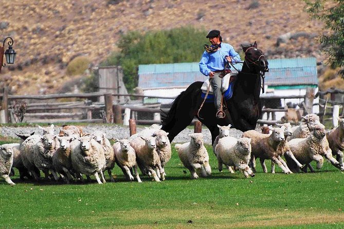 Estancia 25 De Mayo in El Calafate - PM Visit With Dinner - Key Points