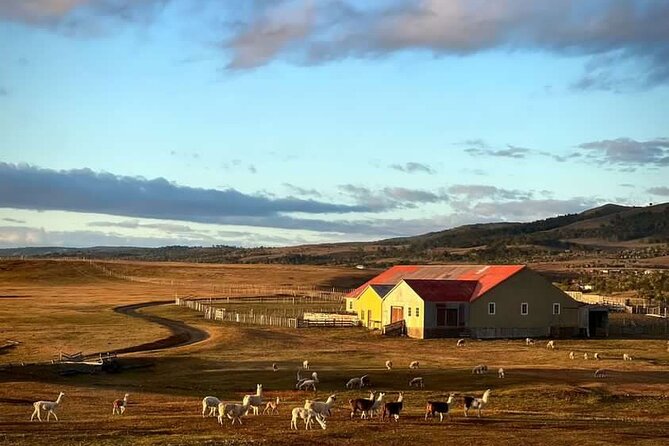 Estancia, From the Commune of Laguna Blanca - Key Points