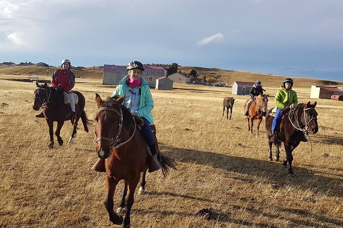 Estancia, From the Commune of Laguna Blanca - Horseback Riding Experience