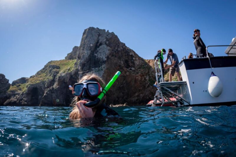 Estartit:Boat Trip Around Medes Island and Swim in the Coast - Exploring Caves and Rock Formations