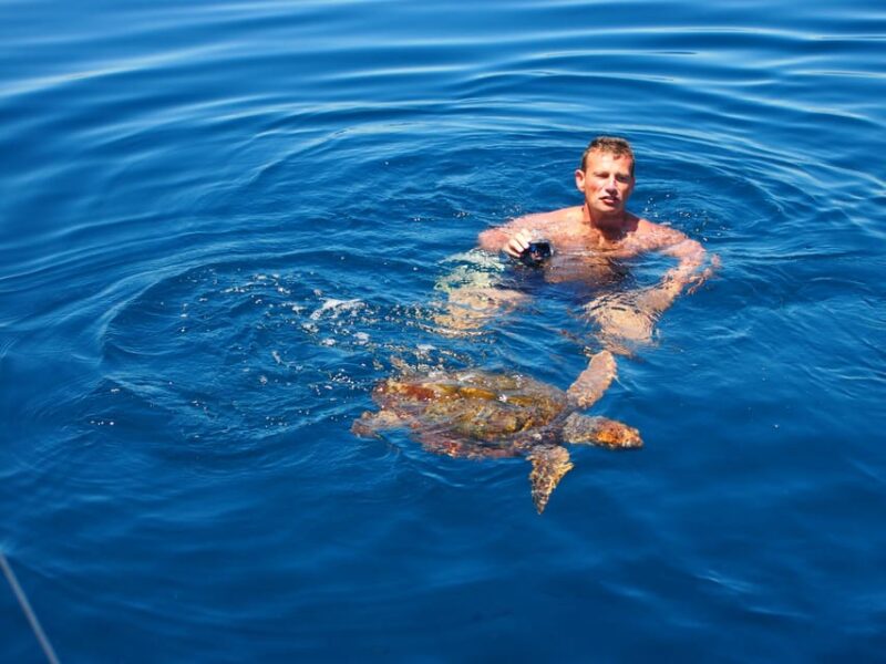 Estepona: Always Private - Sail - Dolphin Yacht Charter - Paddle - Itinerary and Customization