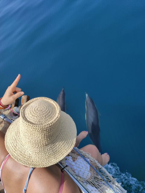 Estepona: Boat Trip Dolphin Search With Drink and Snacks - Seasonal Chances for Dolphin Sightings
