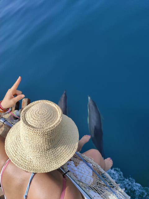 Estepona: Dolphin Search Boat Trip With Drink and Snacks - Exploring the Bay of Estepona