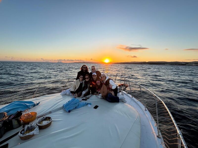 Estepona: Dolphins Searching Sea Cruise With Drink & Snacks - Customer Experience